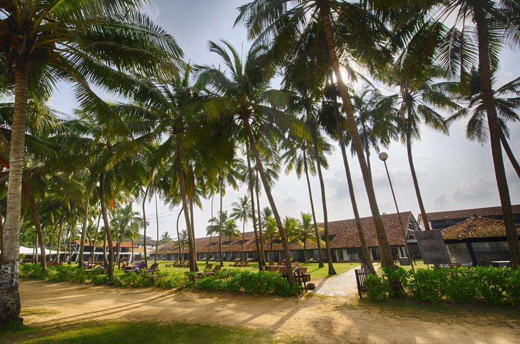 Thaala Bentota Hotel Eksteriør billede